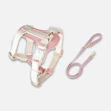Load image into Gallery viewer, Pink Leather Cat Harness &amp; Leash Set | MissyMoMo
