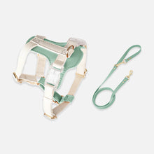 Load image into Gallery viewer, Green Leather Cat Harness &amp; Leash Set | MissyMoMo
