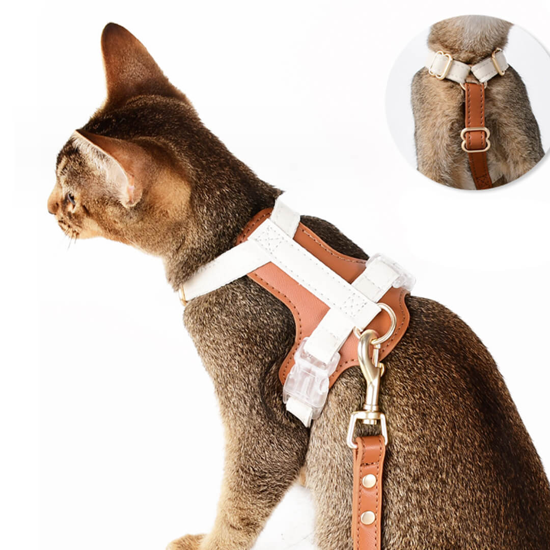 Phoenix Leather Cat Harness & Leash Set