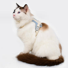 Load image into Gallery viewer, Cat in a Blue Leather Cat Harness | MissyMoMo
