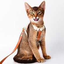 Load image into Gallery viewer, Kitten in Brown Leather Cat Harness | MissyMoMo
