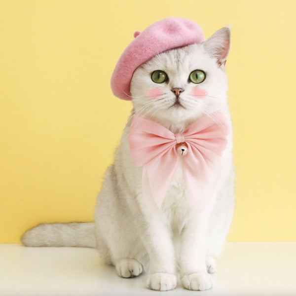 Cat with Pink Wool Beret Hat | MissyMoMo