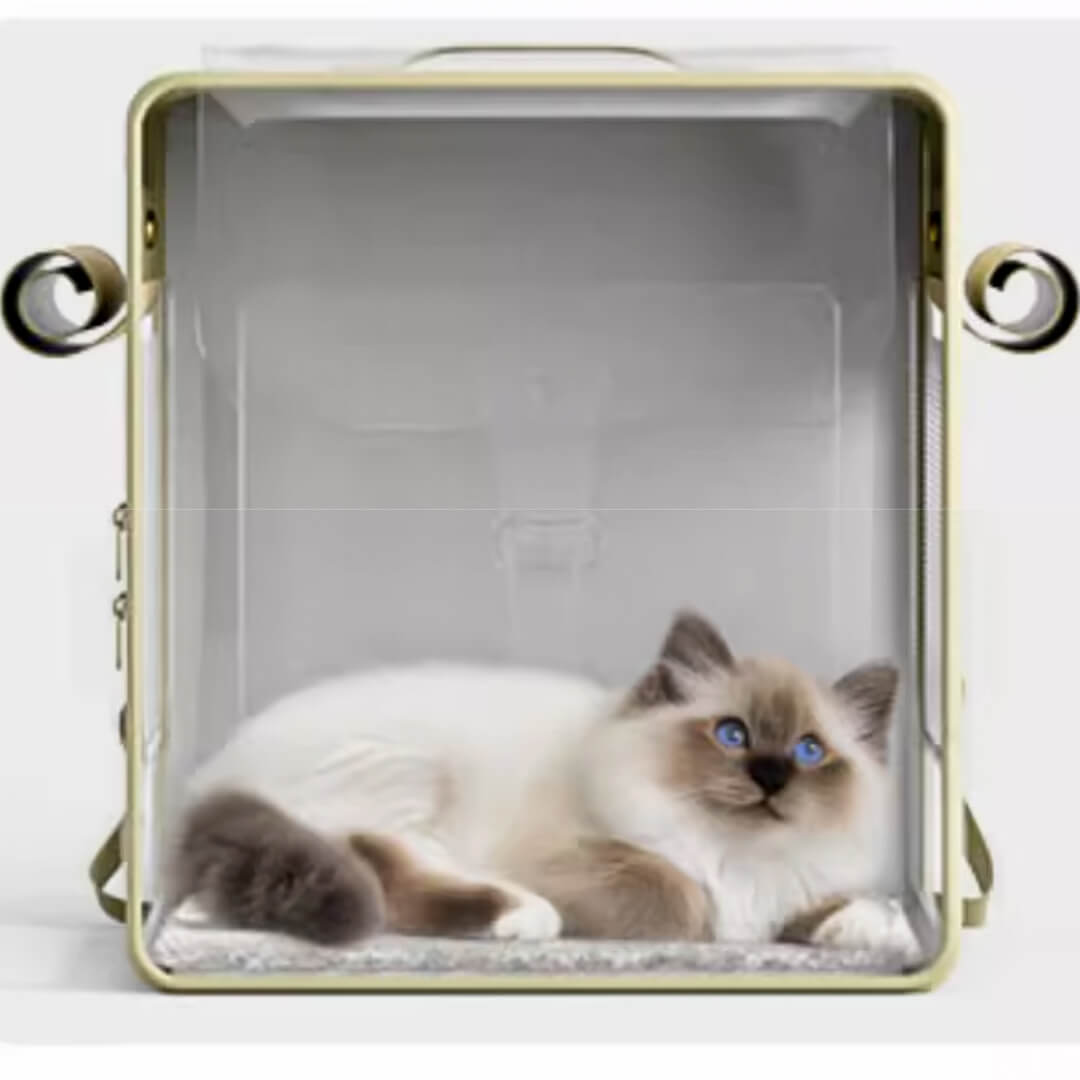 Popocola Cat Backpack