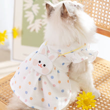 Load image into Gallery viewer, Ragdoll Cat in Dotted Summer Dress | MissyMoMo
