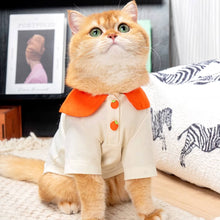 Load image into Gallery viewer, Cat in Orange Summer Shirt | MissyMoMo
