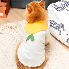 Load image into Gallery viewer, Cat in Pear Summer Shirt | MissyMoMo
