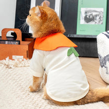 Load image into Gallery viewer, Cat in Orange Summer Shirt | MissyMoMo
