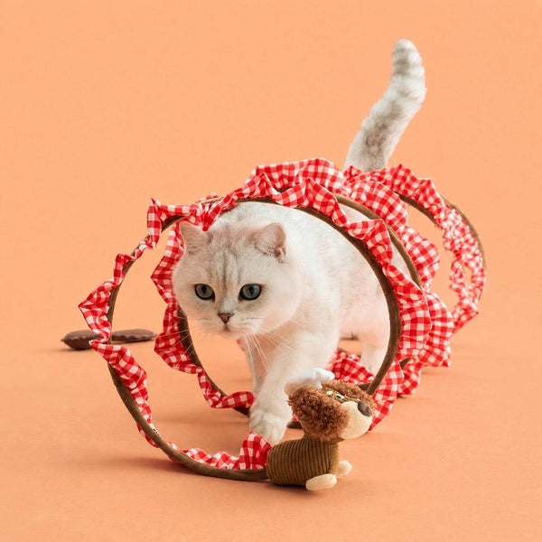 White Cat Walking Through Puppy Spiral Cat Tunnel | Interactive Cat Toys | MissyMoMo