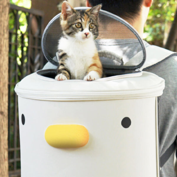 Purroom Cat Backpack | Cat in Cute Cat Backpack | MissyMoMo