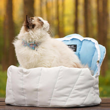 Load image into Gallery viewer, Cat Relaxing in Open Seashell Carrier | MissyMoMo
