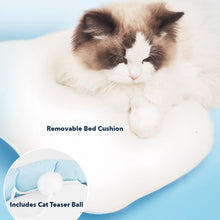 Load image into Gallery viewer, Removable Bed Cushion in Cat Carrier | MissyMoMo
