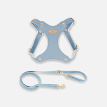 Load image into Gallery viewer, Blue Waterproof Leather Cat Harness &amp; Leash Set | MissyMoMo
