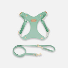 Load image into Gallery viewer, Green Waterproof Leather Cat Harness &amp; Leash Set | MissyMoMo
