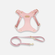 Load image into Gallery viewer, Pink Waterproof Leather Cat Harness &amp; Leash Set | MissyMoMo
