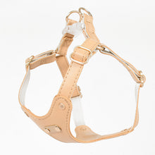 Load image into Gallery viewer, Rio Waterproof Leather Cat Harness &amp; Leash Set | MissyMoMo
