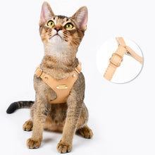 Load image into Gallery viewer, Cat in Waterproof Leather Cat Harness | MissyMoMo
