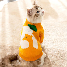 Load image into Gallery viewer, Cat in Yellow Cuddly Bear Sweater | MissyMoMo
