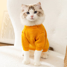 Load image into Gallery viewer, Cat in Yellow Cuddly Bear Sweater | MissyMoMo

