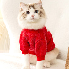 Load image into Gallery viewer, Cat in Christmas Sweater | MissyMoMo
