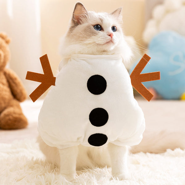 Cat in Snowman Costume | MissyMoMo