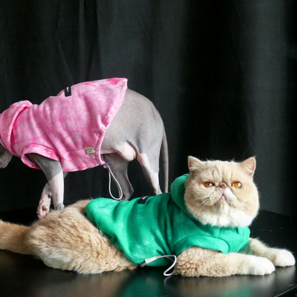 Cats in Tie Dye Hoodies | MissyMoMo