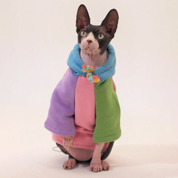 Sphynx Cat in Stylish Colorful Hoodie | MissyMoMo