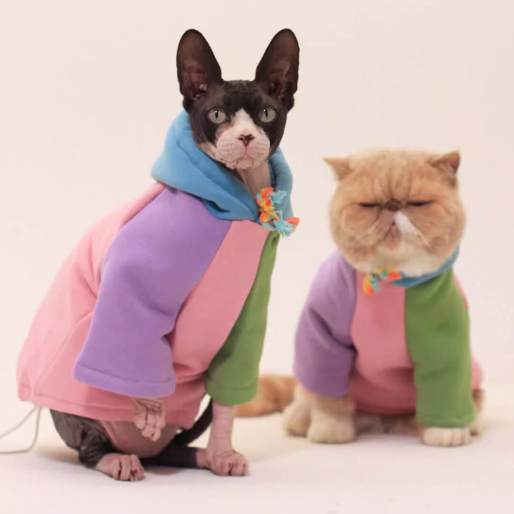 Stylish Hoodie for Sphynx Cats | MissyMoMo