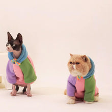 Load image into Gallery viewer, Cute Hoodie for Sphynx Cats | MissyMoMo
