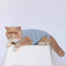 Load image into Gallery viewer,  Cat in Stylish Blue Dungarees | MissyMoMo
