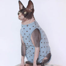 Load image into Gallery viewer, Sphynx Cat in Stylish Blue Dungarees | MissyMoMo
