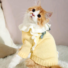 Load image into Gallery viewer, Cat in Cute Yellow Sweater | MissyMoMo
