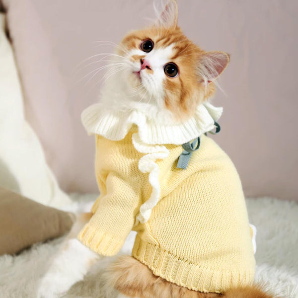 Cat in Cute Yellow Sweater | MissyMoMo