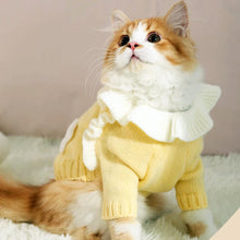 Load image into Gallery viewer, Cat in Cute Yellow Sweater | MissyMoMo
