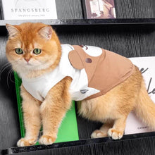 Load image into Gallery viewer, Brown Teddy Bear Cat Vest On Cat Shelf Pose | Cat Summer Vest | MissyMoMo
