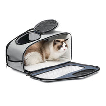Load image into Gallery viewer, Cat in Sturdy Convertible Clear Cat Backpack | MissyMoMo 
