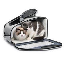 Load image into Gallery viewer, 2 Cats in Convertible Clear Cat Backpack | MissyMoMo
