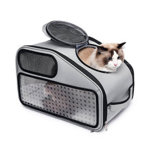 Load image into Gallery viewer, Cat in Sturdy Convertible Clear Cat Backpack | MissyMoMo 
