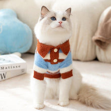 Load image into Gallery viewer, Cat in Cute Blue and Brown Striped Polo Sweater | MissyMoMo
