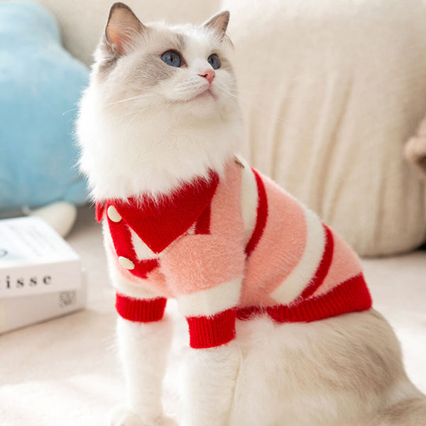 Cat in Cute Pink and Red Striped Polo Sweater | MissyMoMo