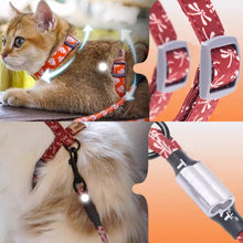 Load image into Gallery viewer, TouchCat  Cat Harness &amp; Leash Set for Walking | H-Style Cat Harness | MissyMoMo
