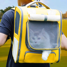 Load image into Gallery viewer, Cat Riding in a Yellow Cat Backpack | MissyMoMo
