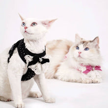 Load image into Gallery viewer, Cats in Sparkle Cat Vest Harnesses | MissyMoMo
