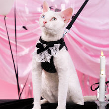 Load image into Gallery viewer, Devon Rex in Black Sparkle Cat Vest Harness | MissyMoMo
