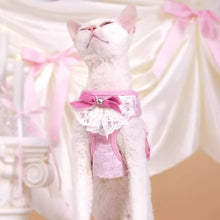 Load image into Gallery viewer, Devon Rex in Pink Sparkle Cat Vest Harness | MissyMoMo
