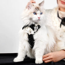 Load image into Gallery viewer, Ragdoll in Black Sparkle Cat Vest Harness | MissyMoMo
