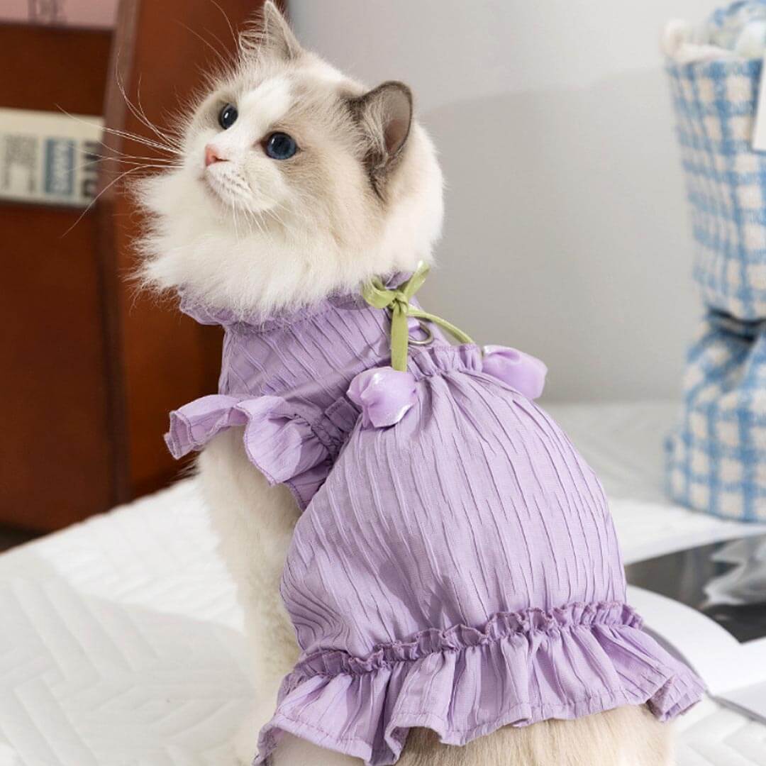 Tulip Cat Dress Cute Ruffle Cat Clothes MissyMoMo