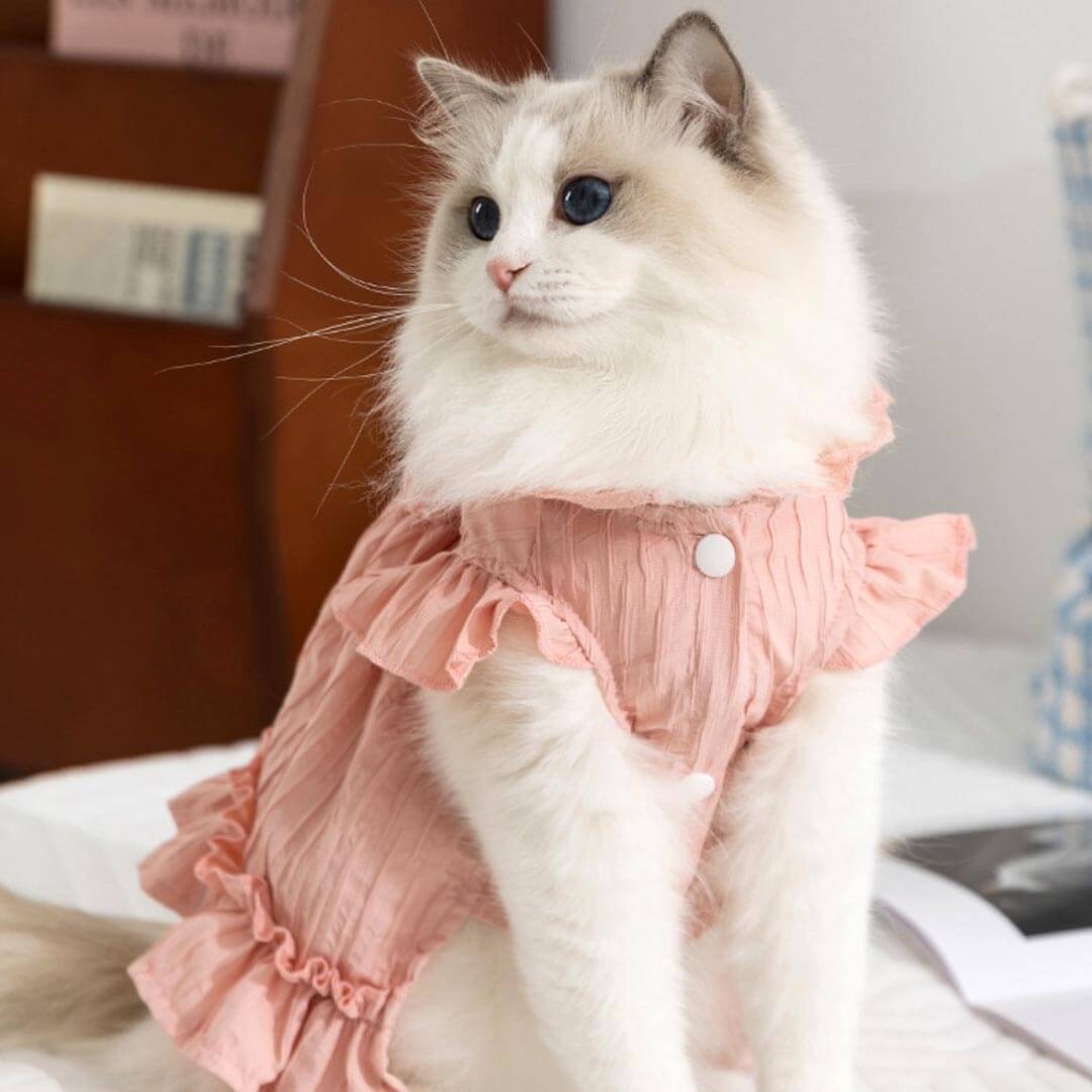 Tulip Cat Dress | Cute Ruffle Cat Clothes | MissyMoMo Tulip Cat Dress | Cute Ruffle Cat Clothes | MissyMoMo
