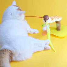 Load image into Gallery viewer, Cat Playing with Twist &amp; Tease Snake Cat Toy | Interactive Cat Toy | MissyMoMo
