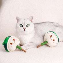 Load image into Gallery viewer, Cat with Watermelon Kitty Silvervine Cat Chew Toy | MissyMoMo
