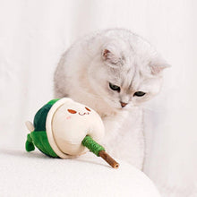 Load image into Gallery viewer, Cat with Watermelon Kitty Silvervine Cat Chew Toy | MissyMoMo
